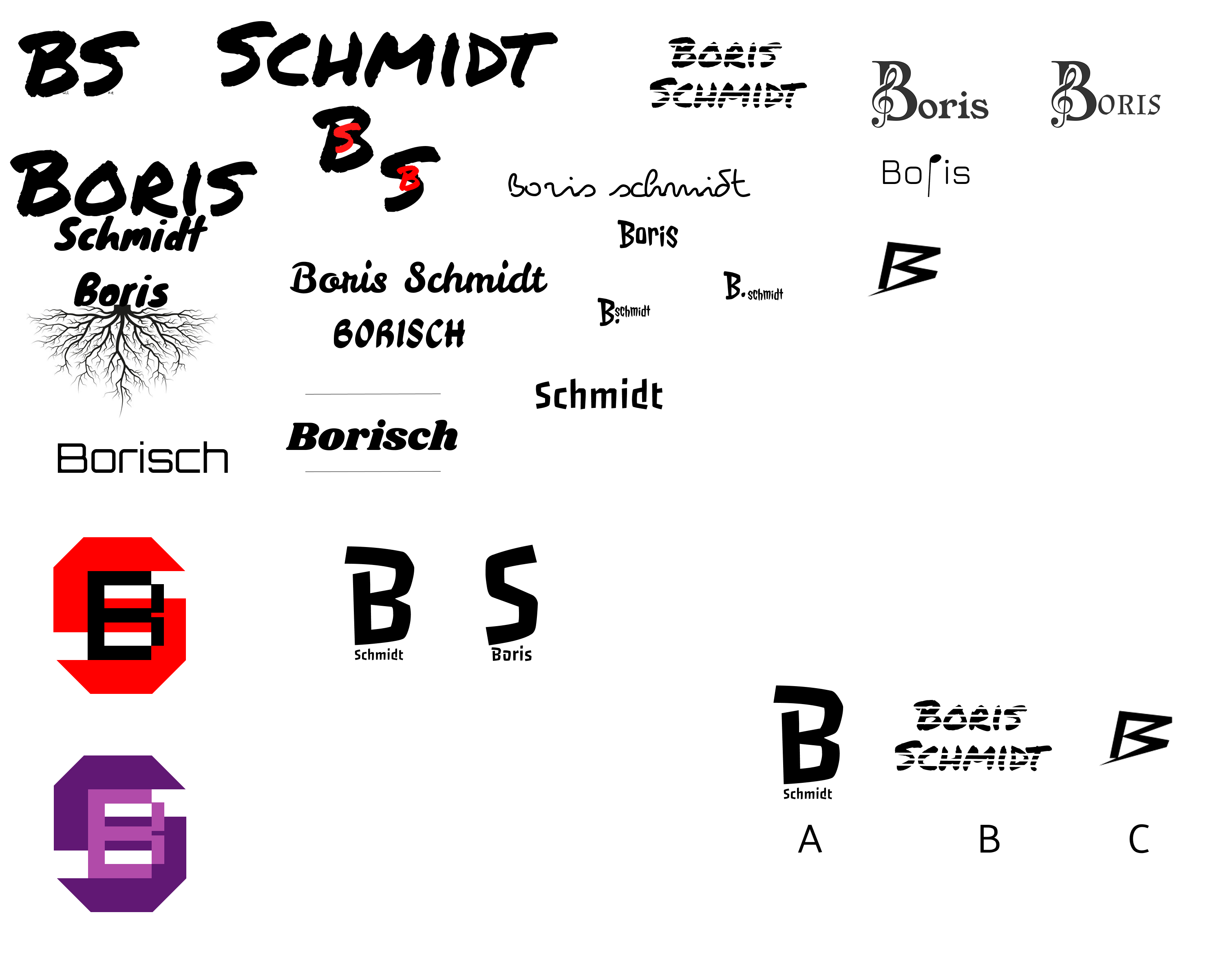 Boris Schmidt logo white